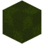 Patched Green Wool