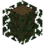 Avocado Leaves Logged