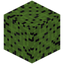 Sync Variant 2