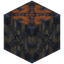 Acacia Log 8x