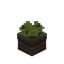 Mini Leave Wooden Pot