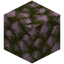 Block of Raw Palladium
