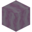 Pink Bioshroom Hyphae
