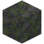 Rough Mossy Stone Bricks