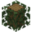 Avocado Leaves Logged