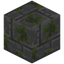 Etched Mossy Stone Bricks Bricks