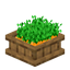 Carrot Food Box