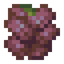 Magic Beans