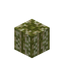 Cantaloupe