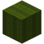 Rectangle Green Wool