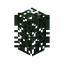 Spruce Hedge