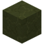 Decorated Green Terracotta