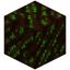 Glimmering Livingwood