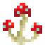 Bulbed Red Mushroom
