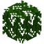 Mahogany Leaves