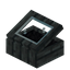 Black Smogstem Display Case