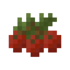 Cranberry