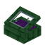 Purple Green Enchanted Display Case