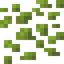Duckweed
