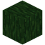 Green Enchanted Wood