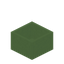 Spring Green Concrete Botany Pot
