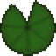 Huge Lily Pad