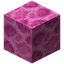 Brain Coral Block