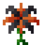 Entropinnyum