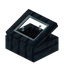 Black Ancient Display Case