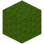 Wickered Lime Wool