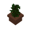 Jungle Sapling Pot