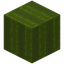 Rectangle Green Wool