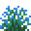 Blue Snowbelle