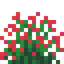 Red Snowbelle