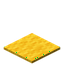 Yellow Carpet