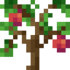 Nectarine Sapling