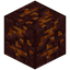 Carved Magma Block