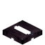 Starlight Mangrove Trapdoor