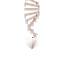Hologram Dna