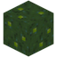 Green Mushroom Block