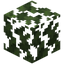 Saxaul Leaves