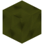 Zane Variant 1