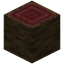 Mangrove Log