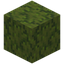Sprinkled Moss Block