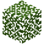 Key Lime Leaves