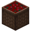 Basket of Sweet Berries
