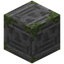 Unamused Mossy Stone Bricks
