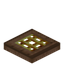 Golden Barred Jungle Trapdoor