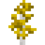 Aspen Sapling