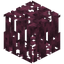 Crimson Mangrove Roots